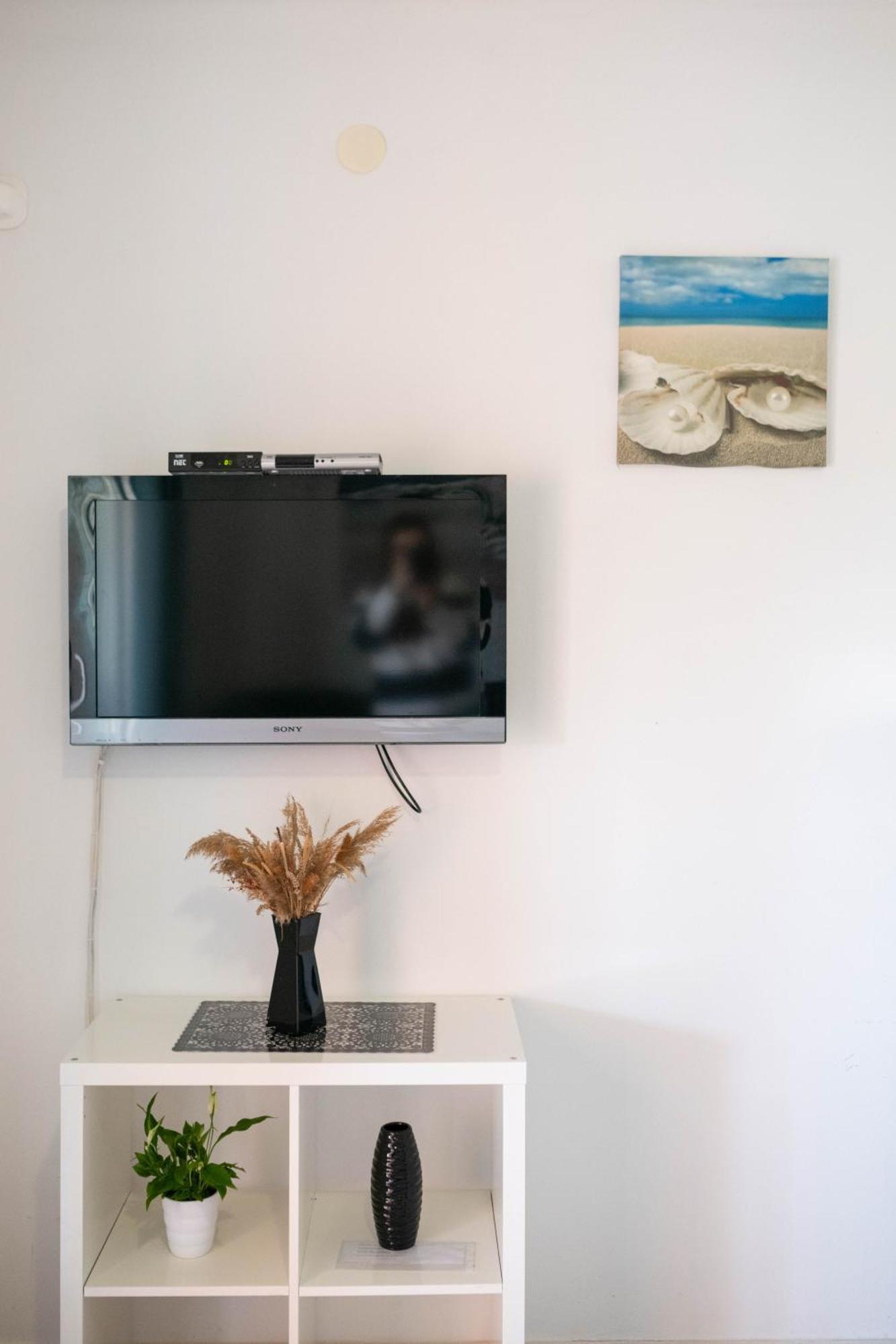 Apartment Thomas Novigrad Istria Exterior foto