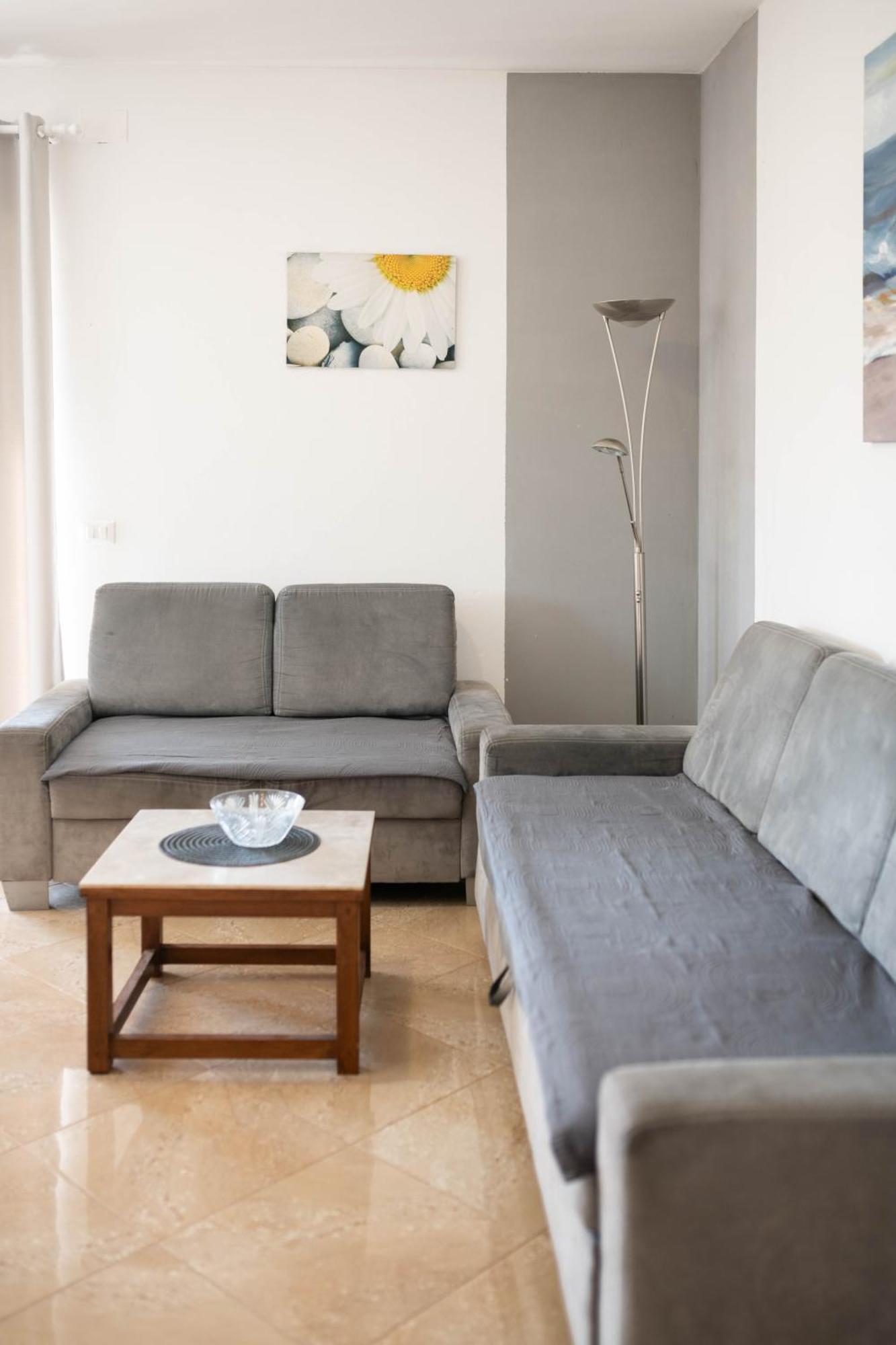 Apartment Thomas Novigrad Istria Exterior foto